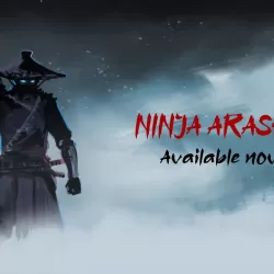 Ninja Arashi 2