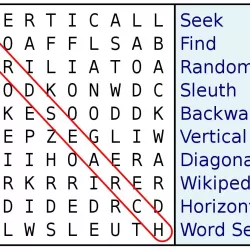 Word Pro : Word Game Puzzle by Words Connect