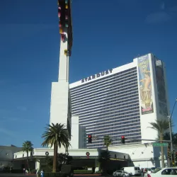 Las Vegas Nights: Temptations in the City