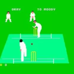 Graham Gooch's All Star Cricket