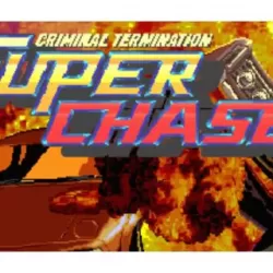 Super Chase: Criminal Termination