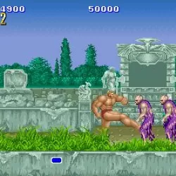 Altered Beast: Guardian of the Realms