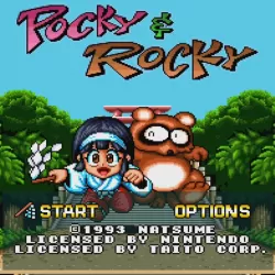 Pocky & Rocky