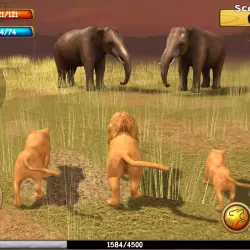 Lion Simulator 3D