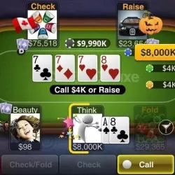 Texas HoldEm Poker Deluxe Pro