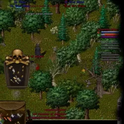 Ultima Online: Renaissance