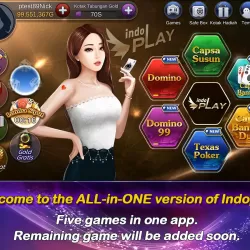 IndoPlay All-in-One