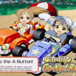 Family Go-Kart Racing