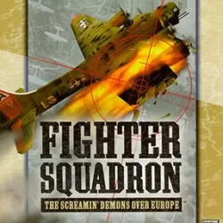 Fighter Squadron: The Screamin' Demons Over Europe