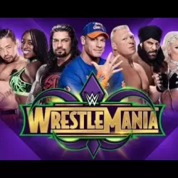 WWE: Wrestlemania 34