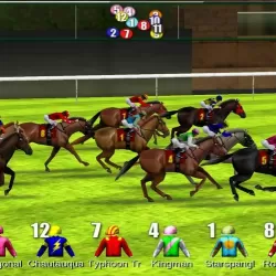 iHorse Racing 2: Stable Manager