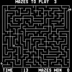 The Amazing Maze Game