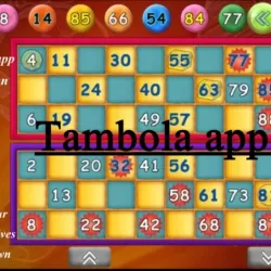 Octro Tambola - Free Indian Bingo
