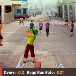 Gully Cricket Game - 2020