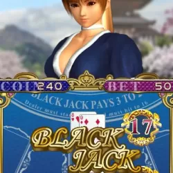 Girls of DOA BlackJack - the Kasumi version -