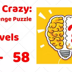 Brain Crazy: IQ Challenge Puzzle
