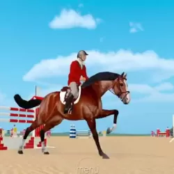 Jumpy Horse Show Jumping