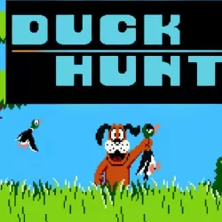 Nintendo Duck Hunt