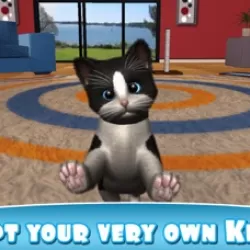 Daily Kitten : virtual cat pet