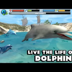 Dolphin Simulator