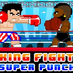 Boxing Fighter : Super punch