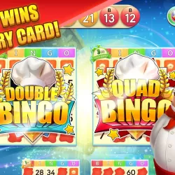 BINGO FRENZY - BINGO games  free to play online
