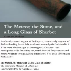 The Meteor, the Stone and a Long Glass of Sherbet