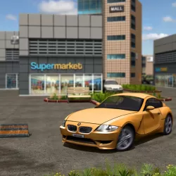 Skill 3D Parking Mall Madness