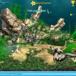 AquaLife 3D