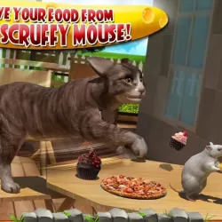 Crazy Cat vs Mouse