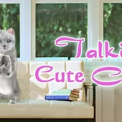 Talking Cute Cat