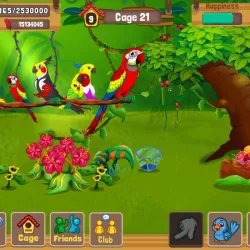 Bird Land Paradise: Pet Shop Game, Play with Bird