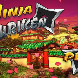 Ninja Shurican: Ninja Game