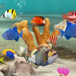 Fish Farm 3 - 3D Aquarium Simulator
