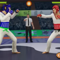 Karate King: Chinese Martial Arts Fighting Games