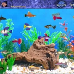 Fish care games: Build your aquarium