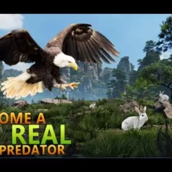Wild Eagle Bird Simulator
