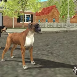 Rottweiler Dog Simulator