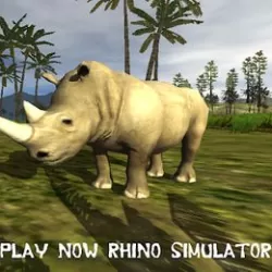 Rhino simulator 2019