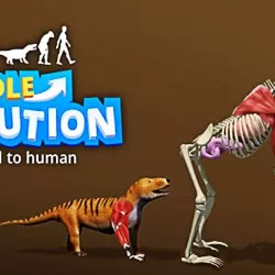 Idle Evolution - from Cell to Human