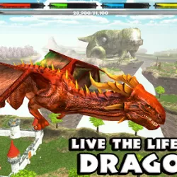 World of Dragons: Simulator