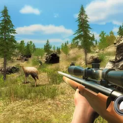 Wild Deer Hunter 2021: New Animal Hunting Games