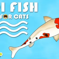Fish for Cats - Cat Fishing Game