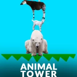AnimalTower Battle
