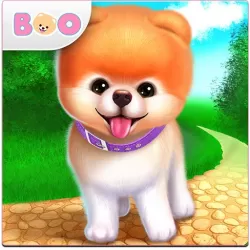 Boo - The World's Cutest Dog