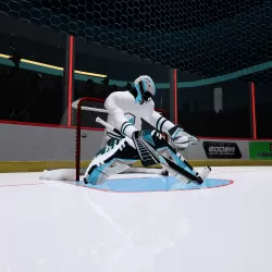 Goalie VR