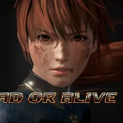 DEAD OR ALIVE 6: Core Fighters - Rig