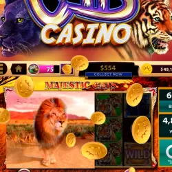 CATS Casino – Real Hit Slot Machine!