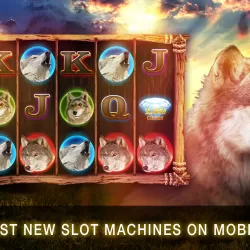 Slots Lunar Wolf Casino Slots