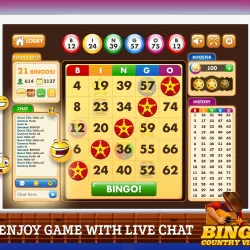 Bingo Country Vibes: Best Free Bingo Games